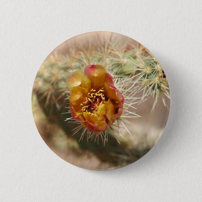 Cholla Kaktus-Blüte Button (Vorderseite)