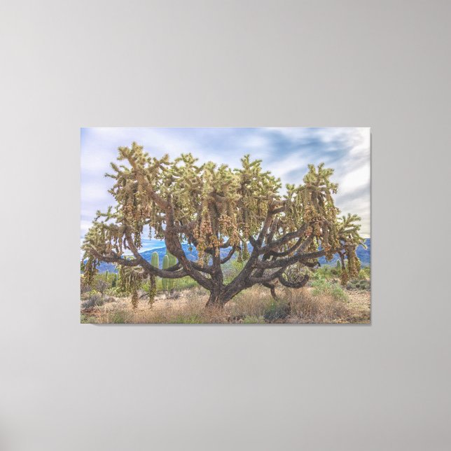 Cholla Leinwanddruck (Vorderseite)