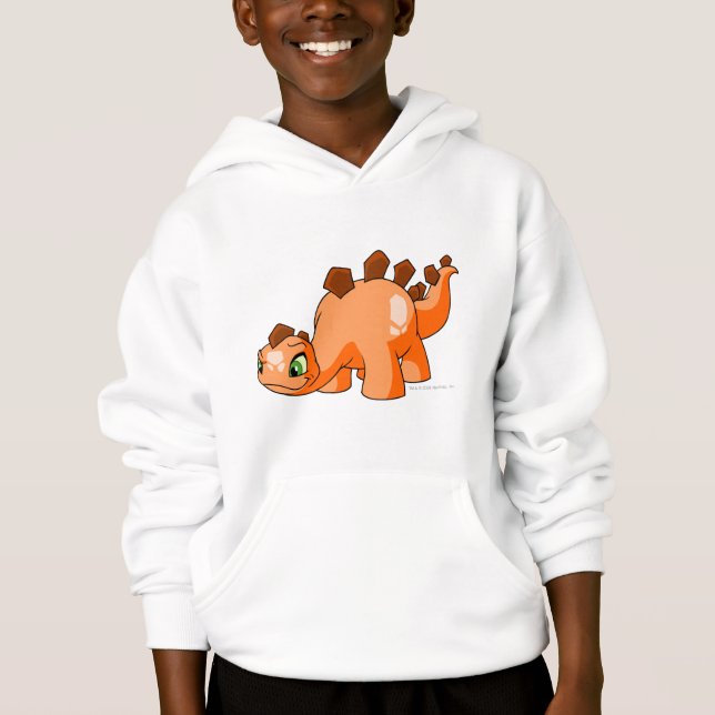Chomby Orange Hoodie (Vorderseite)