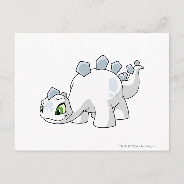 Chomby White Postkarte (Vorderseite)