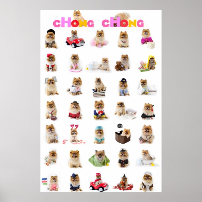 Chong Chong Poster (Vorne)
