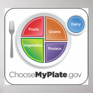 ChooseMyPlate Poster