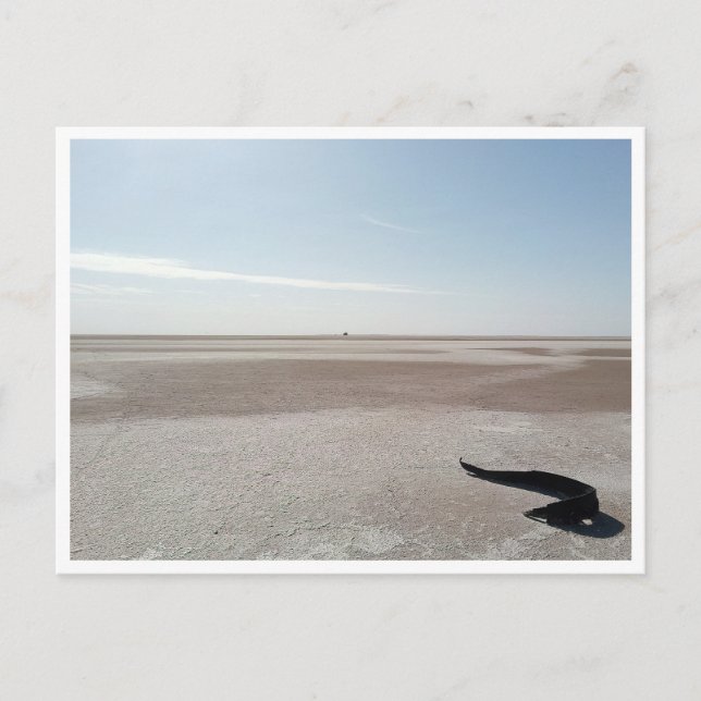 Chott el Djerid (Tunesien) Postkarte (Vorderseite)