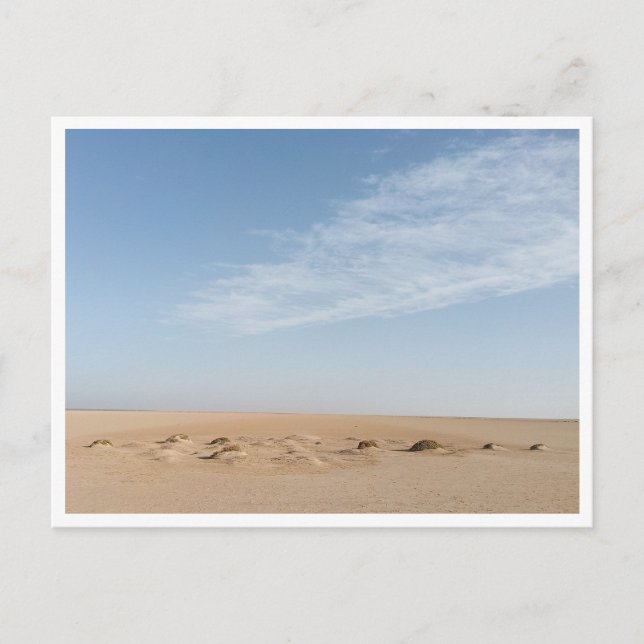 Chott el Djerid (Tunesien) Postkarte (Vorderseite)