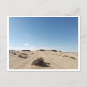 Chott el Gharsa (Tunesien) Postkarte