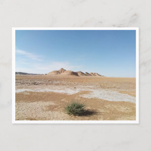 Chott el Gharsa (Tunesien) Postkarte