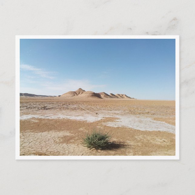 Chott el Gharsa (Tunesien) Postkarte (Vorderseite)