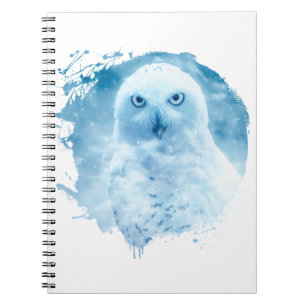 Chouette Oiseau Animal Vie Sauvage Forêt Nature Notizblock