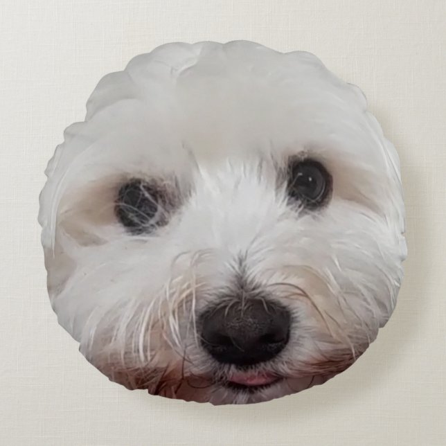 Choupy Maltese Rundes Kissen (Vorderseite)