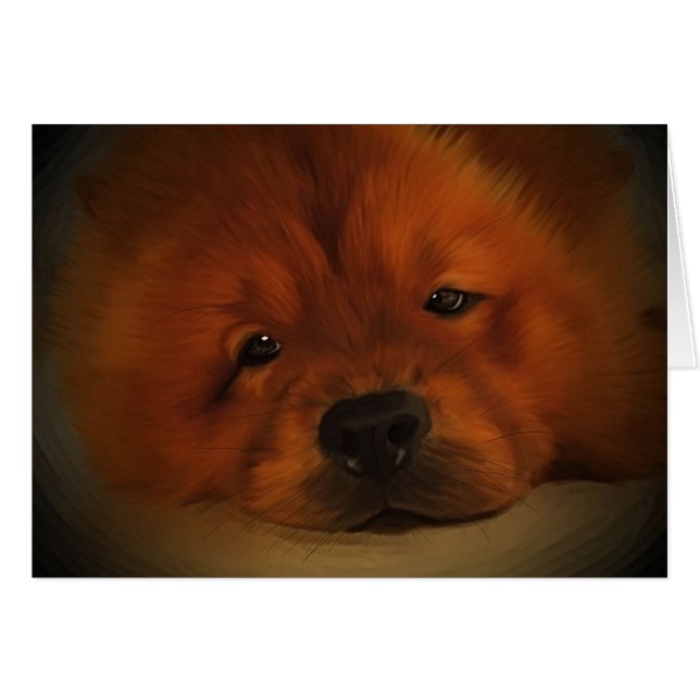 Chow Chow (Vorderseite (Horizontal))