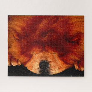 Chow Chow 16x20 520pc jpcna Puzzle