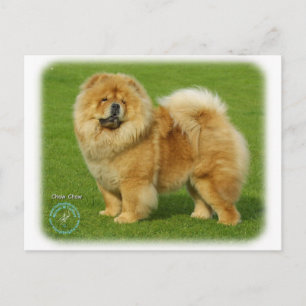 Chow-Chow 9B008D-17 Postkarte