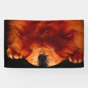 Chow-Chow-Banner Banner