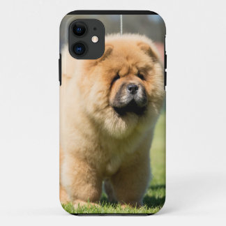 Chow-Chow iPhone 11 Hülle