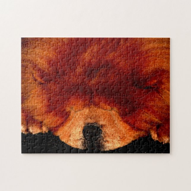 Chow Chow Chow 11x14 252pc jpcnm Puzzle (Horizontal)