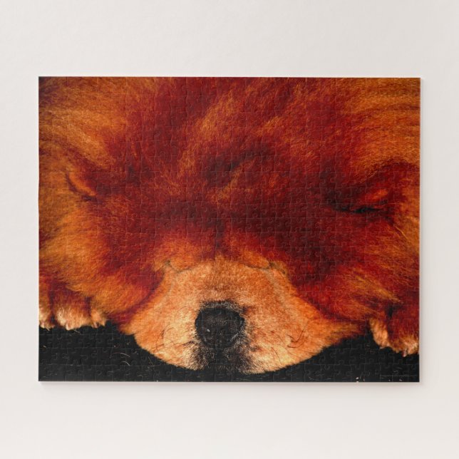 Chow Chow Chow 16x20 520pc jpcnm Puzzle (Horizontal)