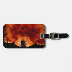 Chow Chow Chow cd ltcnm Gepäckanhänger