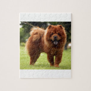 Chow-Chow Chow-Chow HundePosen Puzzle