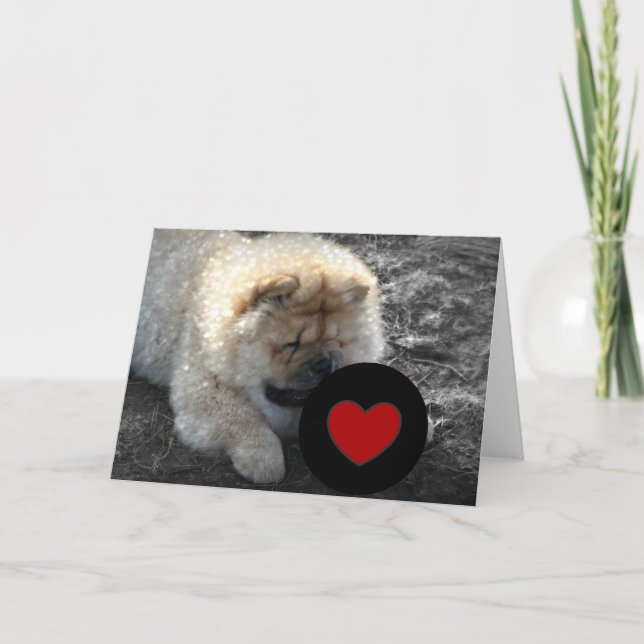 Chow-Chow Chow-Chow LIEBE Feiertagskarte (Vorderseite)