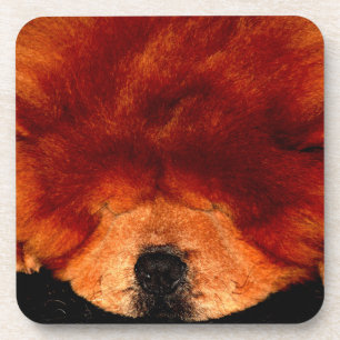 Chow Chow Chow Coast Getränkeuntersetzer