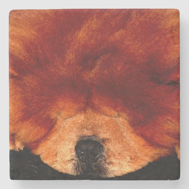 Chow Chow Chow Coast Steinuntersetzer (Vorderseite)