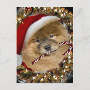 Chow Chow Christmas Candy Cane Geschenke Feiertagspostkarte