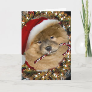 Chow Chow Christmas Candy Feiertagskarte