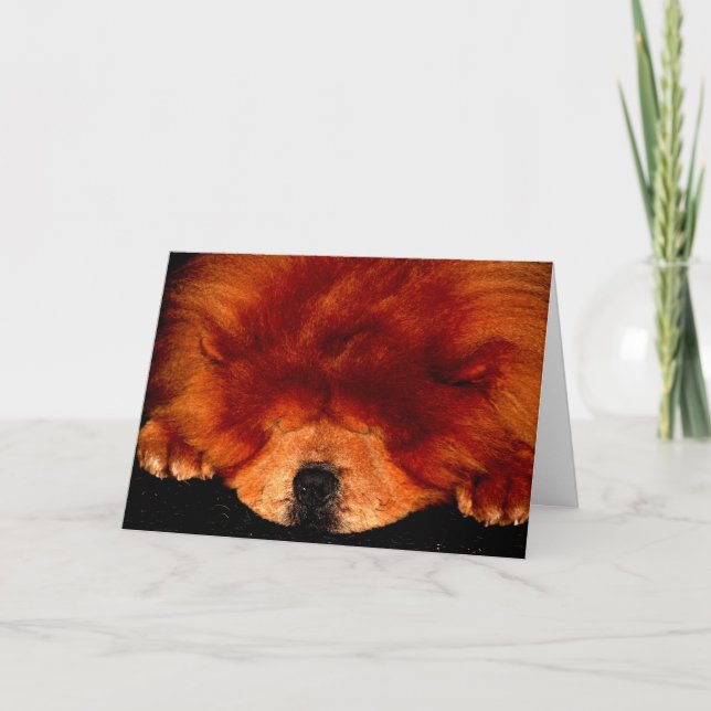 Chow Chow gccna Karte (Vorderseite)