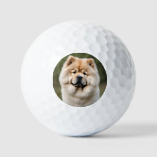 Chow Chow Golfball