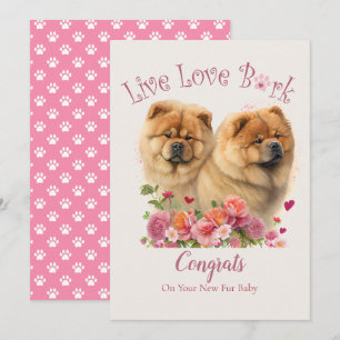 Chow Chow Hund Adoption, Gotcha Tag Karte
