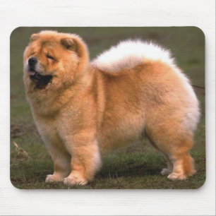 Chow-Chow-Hund Mousepad
