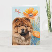 Chow Chow Hund Orangefarbene Mohnblumen Gute Besse