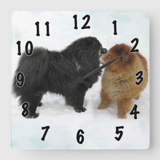 Chow-Chow-Liebe Quadratische Wanduhr (Vorderseite)