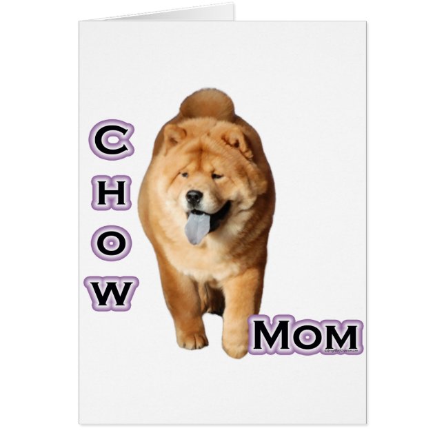 Chow Chow-Mama 4 (Vorne)