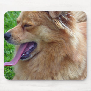 Chow-Chow-Mausunterlage Mousepad