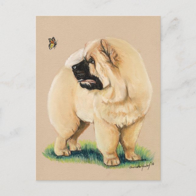 Chow Chow Original Hund Postkarte (Vorderseite)