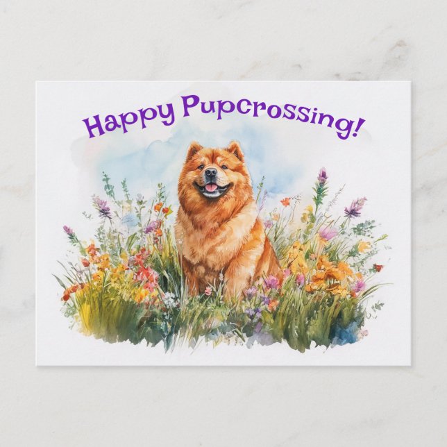 Chow Chow Postcross - Postkarte (Vorderseite)