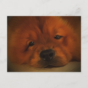 Chow Chow Postkarte