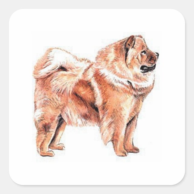 Chow Chow Red Quadratischer Aufkleber (Vorderseite)