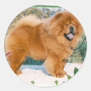 Chow-Chow Runder Aufkleber