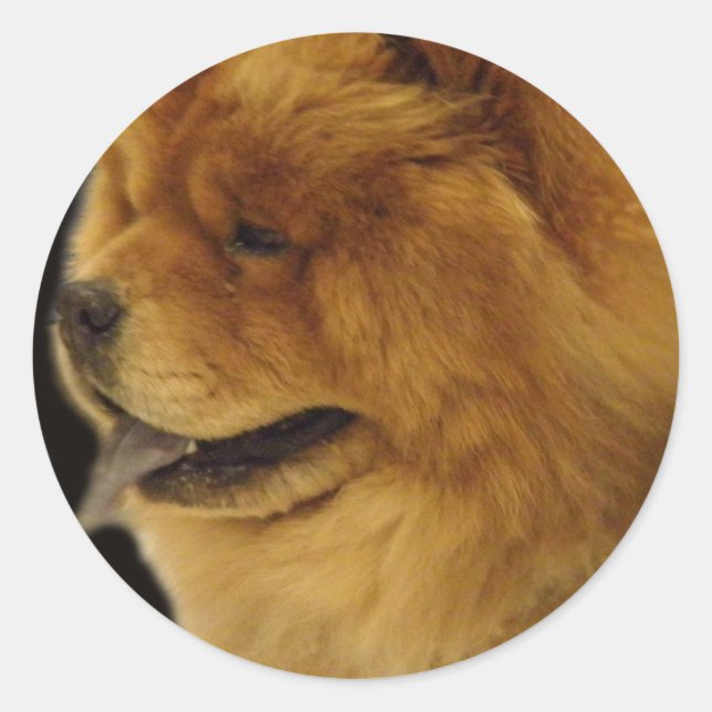 Chow Chow Runder Aufkleber (Vorderseite)