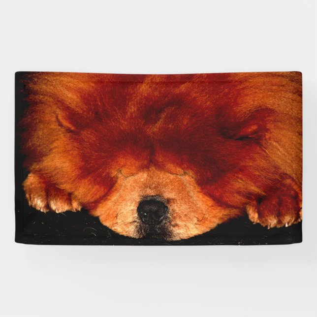 Chow-Chow-Schnittstelle Banner (Horizontal)