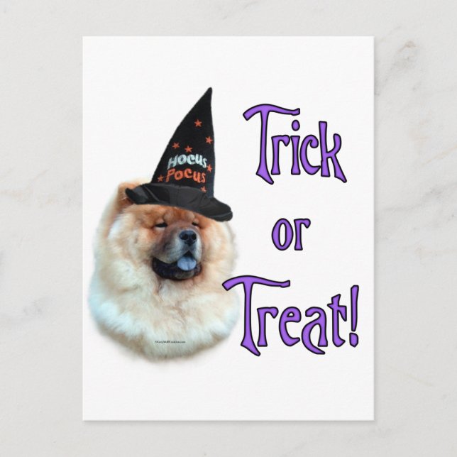 Chow Chow Trick Postkarte (Vorderseite)