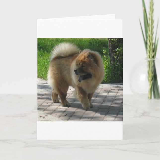 Chow-Chow voll Karte (Vorderseite)