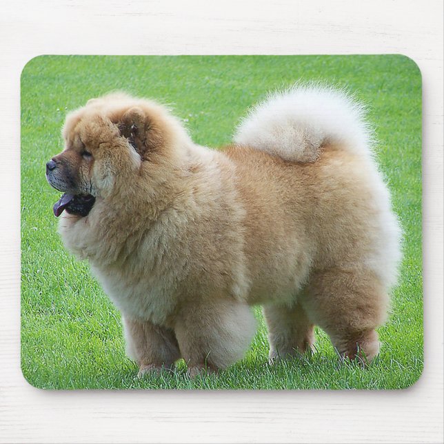 Chow Chow Welpe Hund Grüngras Mousepad (Vorne)