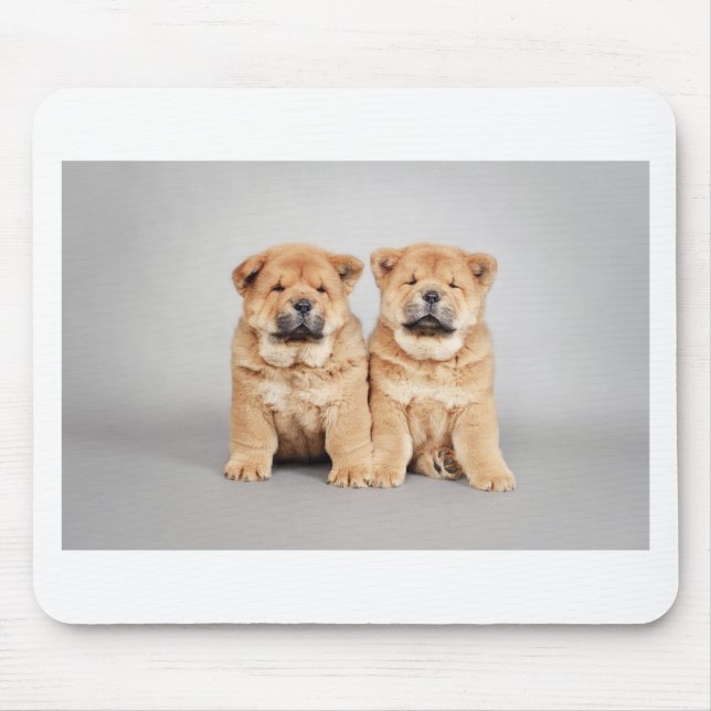 Chow chow Welpen Mousepad (Vorne)