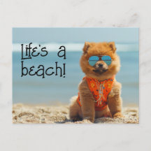 ChowChow Welpe mit Sonnenbrille Postkarte