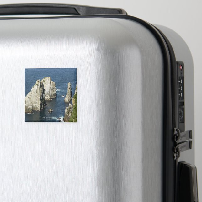 Chowiet Seabird Colonies, Alaska Magnet (In Situ (Gepäck))