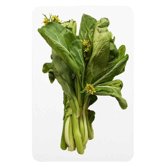 Choy Sum Foto Magnet (Vertikal)