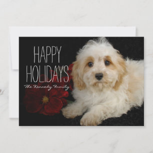 Chrirstmas Cavachon Welpe Feiertagskarte